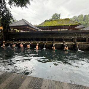 Ubud and Surrounding Tour