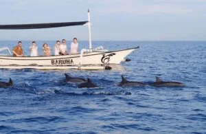 Bali Northern Escape: Dolphins, Waterfalls & Sacred Temples Tour